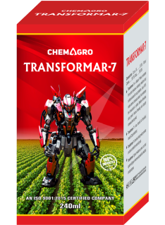 Transformer 7