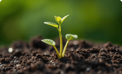 Micronutrients