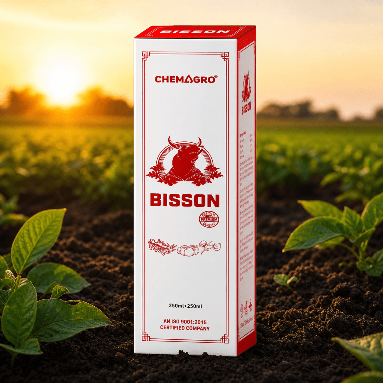 Bisson