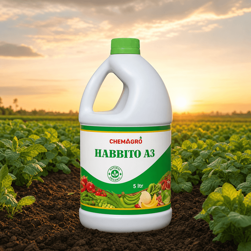 Habbito A3