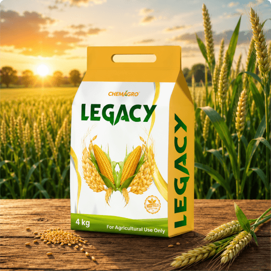 Legacy