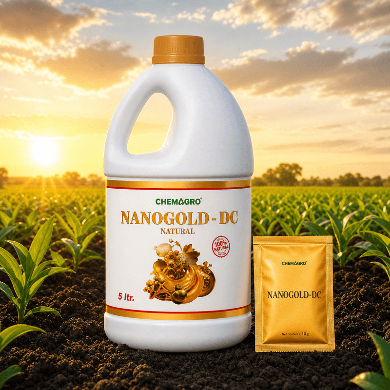 Nanogold-DC