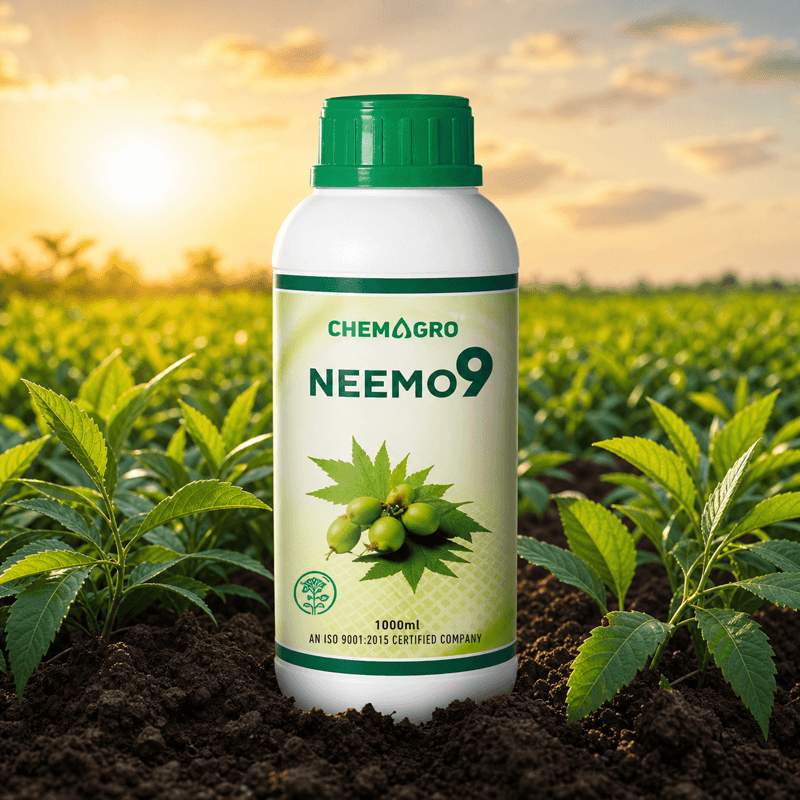 Neemo9