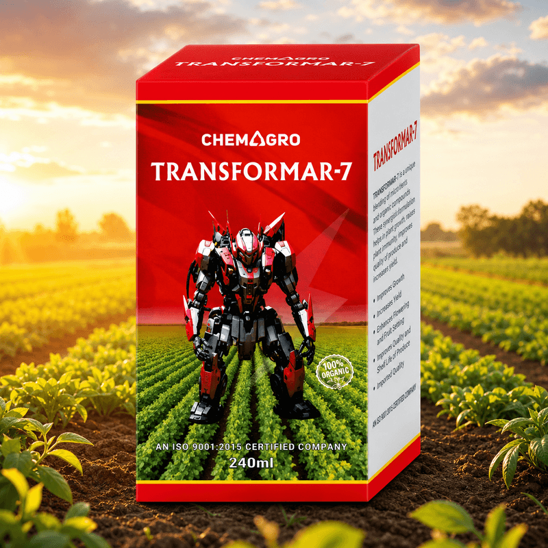 Transformar-7