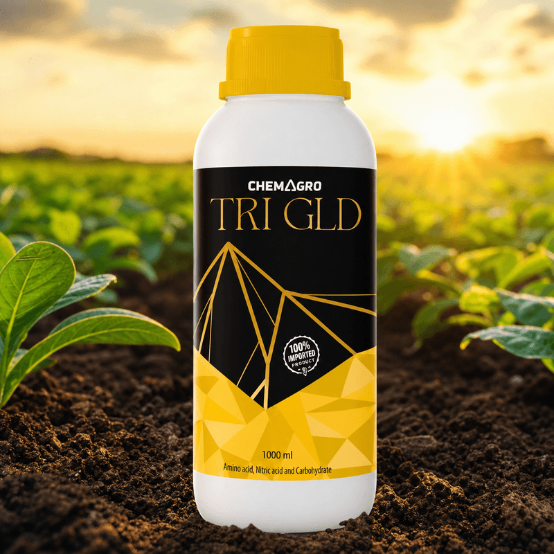 Tri GLD