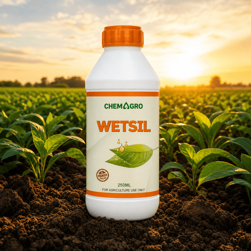 Wetsil